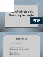 Tema 1 Neurobiología de La Neurona y Neuroglia 1.1