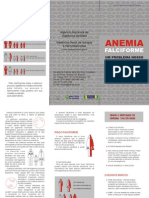 Folder Anemia Falc i for Me