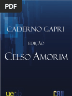 Palestra Celso Amorim