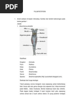 Download Filum Rotifera by Melinda Oktafiani SN131680435 doc pdf