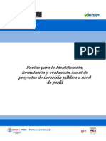 Pautas Para La I,FyES de PIP, Perfil