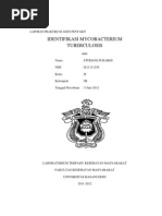 Download laporan lengkap by Fitriani Sukardi SN131708033 doc pdf