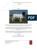 PDF Razas Ovinas