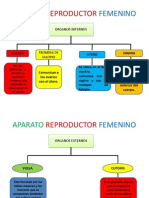 Aparato Reproductor Femenino y Masculino