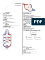 Organização e controle do corpo humano