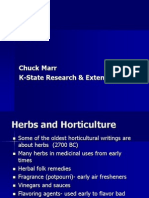 Culinary Herbs