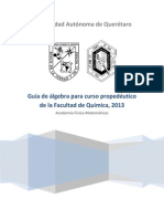 Guía de matemáticas propedéutico 2013