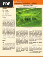 Orgimchak odam multfilm porno