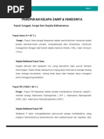 Dosis Dan Cara Pemupukan Kelapa Sawit