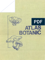 Atlas Botanic 
