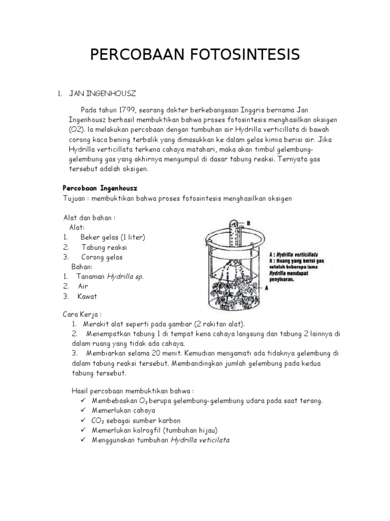 Percobaan Fotosintesis
