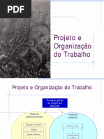 Projeto e Organização do Trabalho