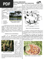 PR+ë-T+ëCNICO-BIOLOGIA-GISELE-FICHA11
