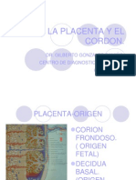 La Placenta y El Cordon