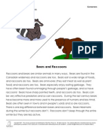 Bears and Raccoons: Connectors