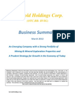 Business Summary Kat Gold Holding Corp BVIG