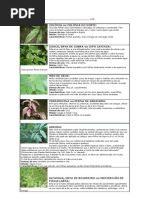 23421290-Ervas-Rituais.pdf