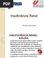 Insuficiencia Renal
