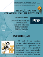 Seminário Meliponicultura