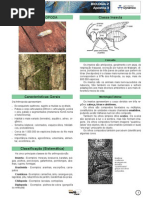Zoologia FILO ARTROPODA Conceitos Basicos BOM