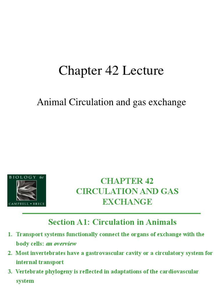 Circulation and Gas Exchange | Circulatory System | Lymph