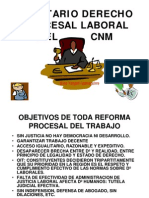 Balotarioderecho Procesal Penal CNM