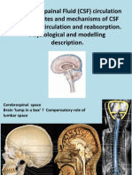 Physics of Cerebrospinal Fluid Circulation