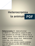 Heterocromia La Animale