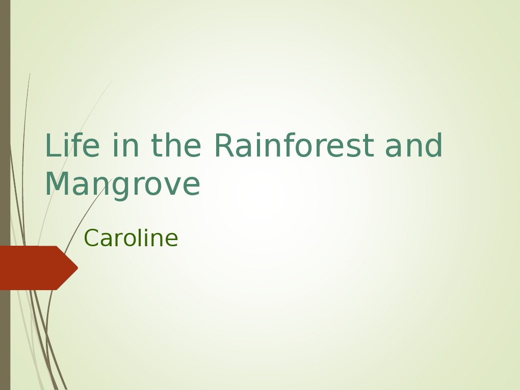 Rainforest and Mangrove Life | PDF | Rainforest | Trees
