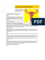 Sistema o aparato reproductor femenino.docx