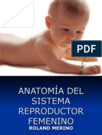anatomiadelaparatoreproductorfemenino-121214235048-phpapp02