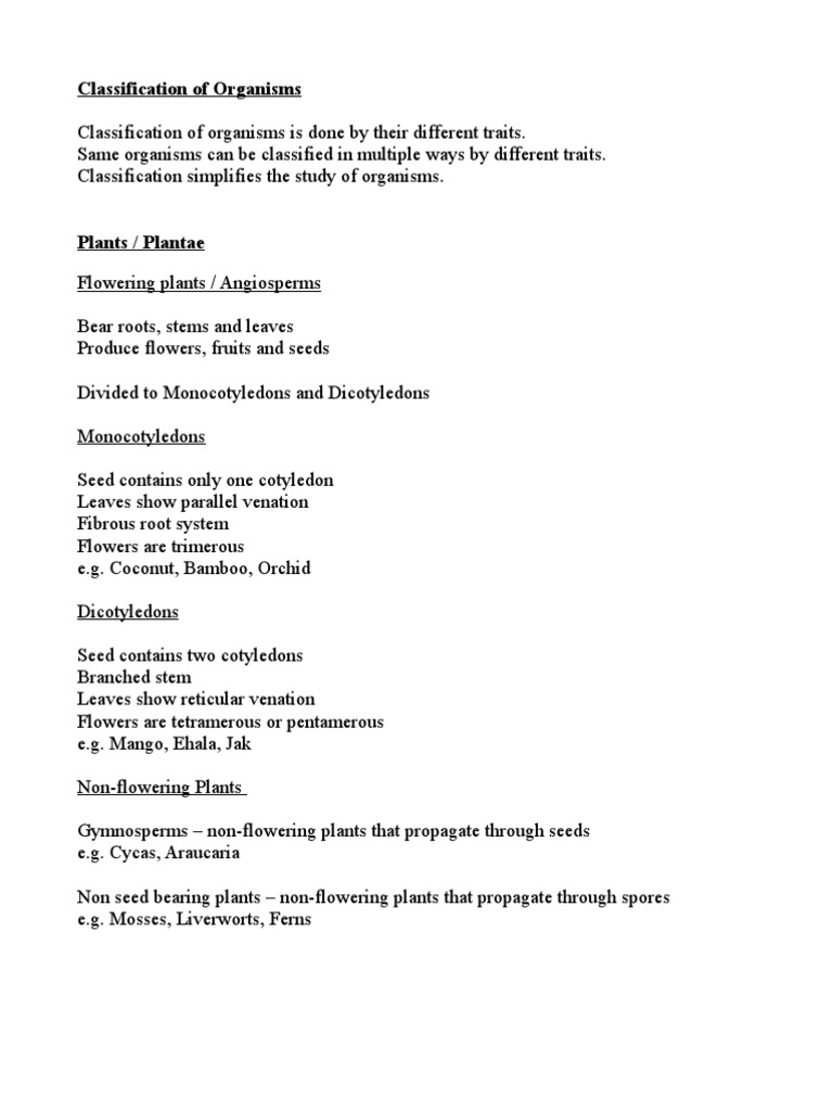 Grade 10 Biology - Chapter animal classification | Cell (Biology) | Plants