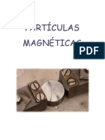 04_Partículas_Magneticas