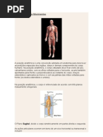 Terminologia Dos Movimentos