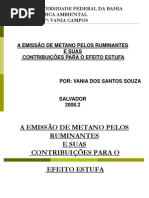 Seminario - Ruminantes e Efeito Estufa