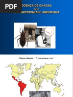 AULA2 - DOENÇA DE CHAGAS[1]