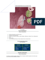 Afecções Respiratórias Do RN Ao Adolescente