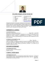 CV Profecional