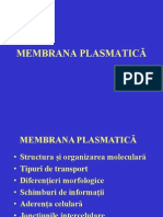 Curs Nr. 2 Membrana Plasmatica