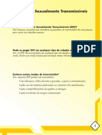 Manual DST.pdf
