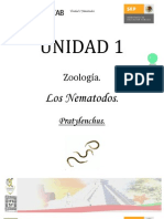 Zoología PratylenchusLISTO