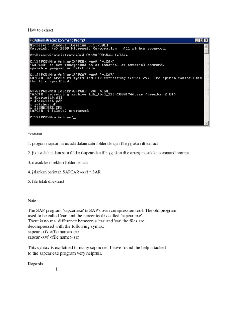How To Extract SAP CAR | PDF