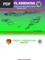 Download Profil Kesh Ntt 2011 by Fathul Muin SN132014958 doc pdf