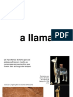 a llama