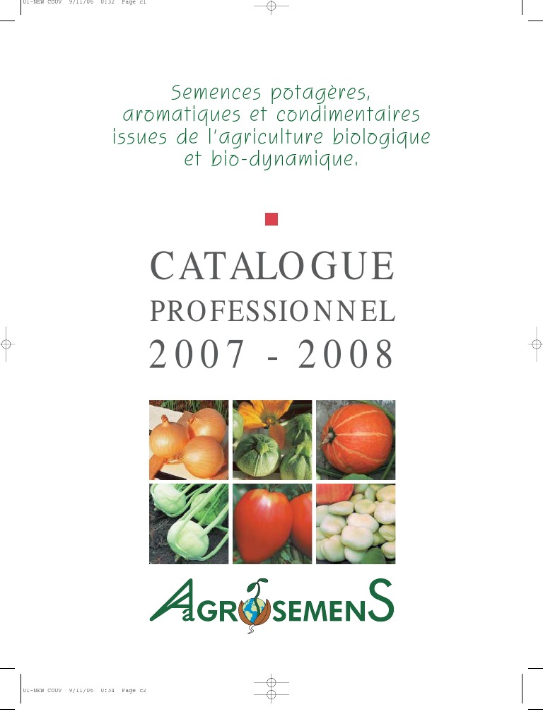 1000//2500 Graines Absinthe Herbe Plante Aromatique Vivace Fleur Jaune Vif