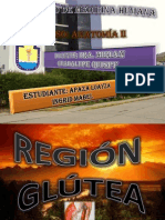 Región Glútea