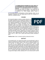 Estudio de La Remocion de Hierro de Una Arcilla Caolitica Por Medio de Lixiviacion Reductiva