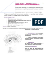 Resumen de Neurofisiologia, Unidad 4