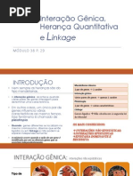 Interação gênica2