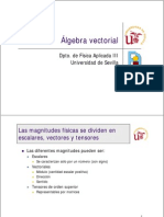 Algebra Vectorial Universidad Sevilla